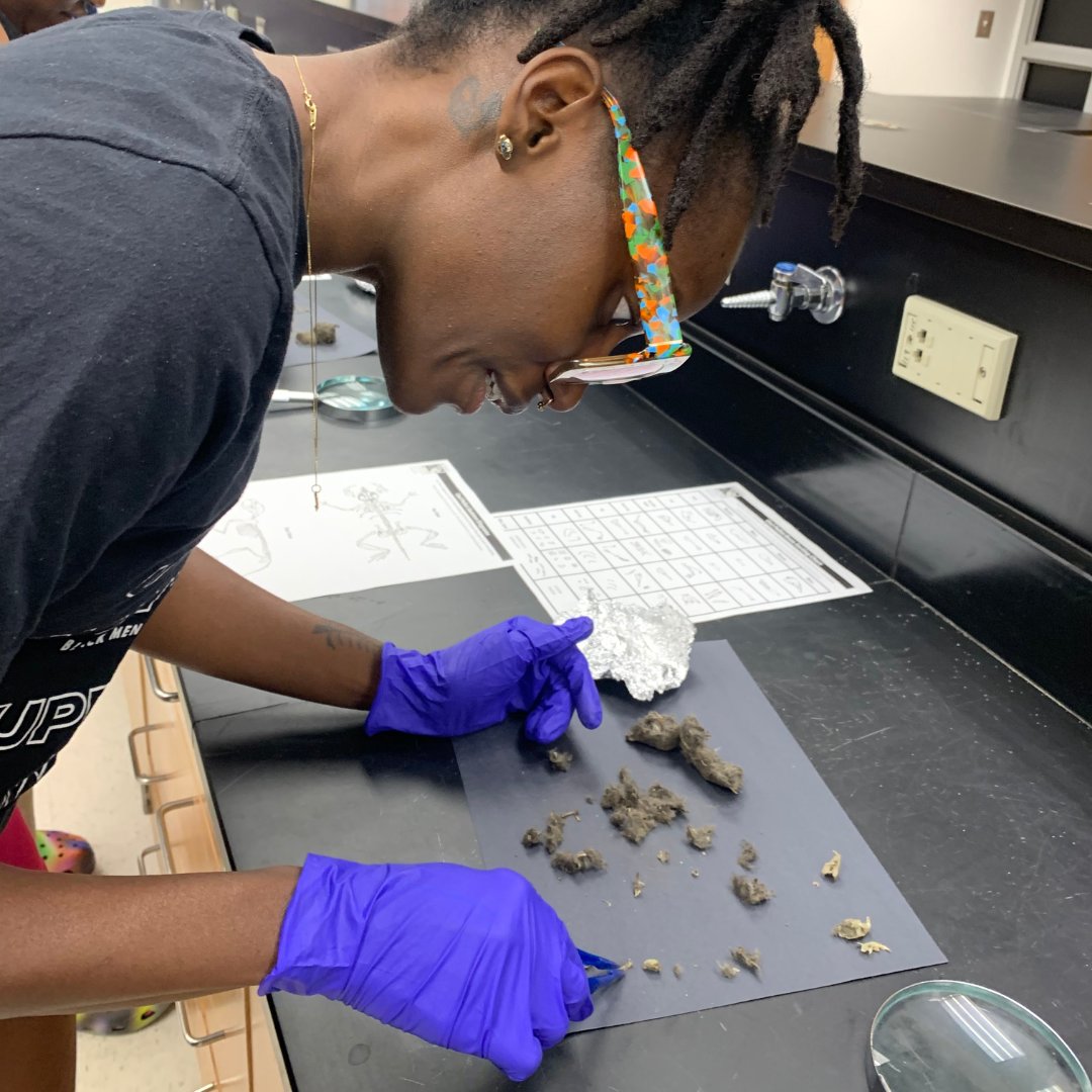HealthyHarbor's tweet photo. Science is for everyone! 🔬Teachers from @BaltCitySchoolsare working hard in the @TowsonU lab, learning about the #ChesapeakeBay ecosystem. 🦪 Learn more about our #HarborScholars program: https://t.co/GMTHWhLeDK https://t.co/Rs9amAlKqf