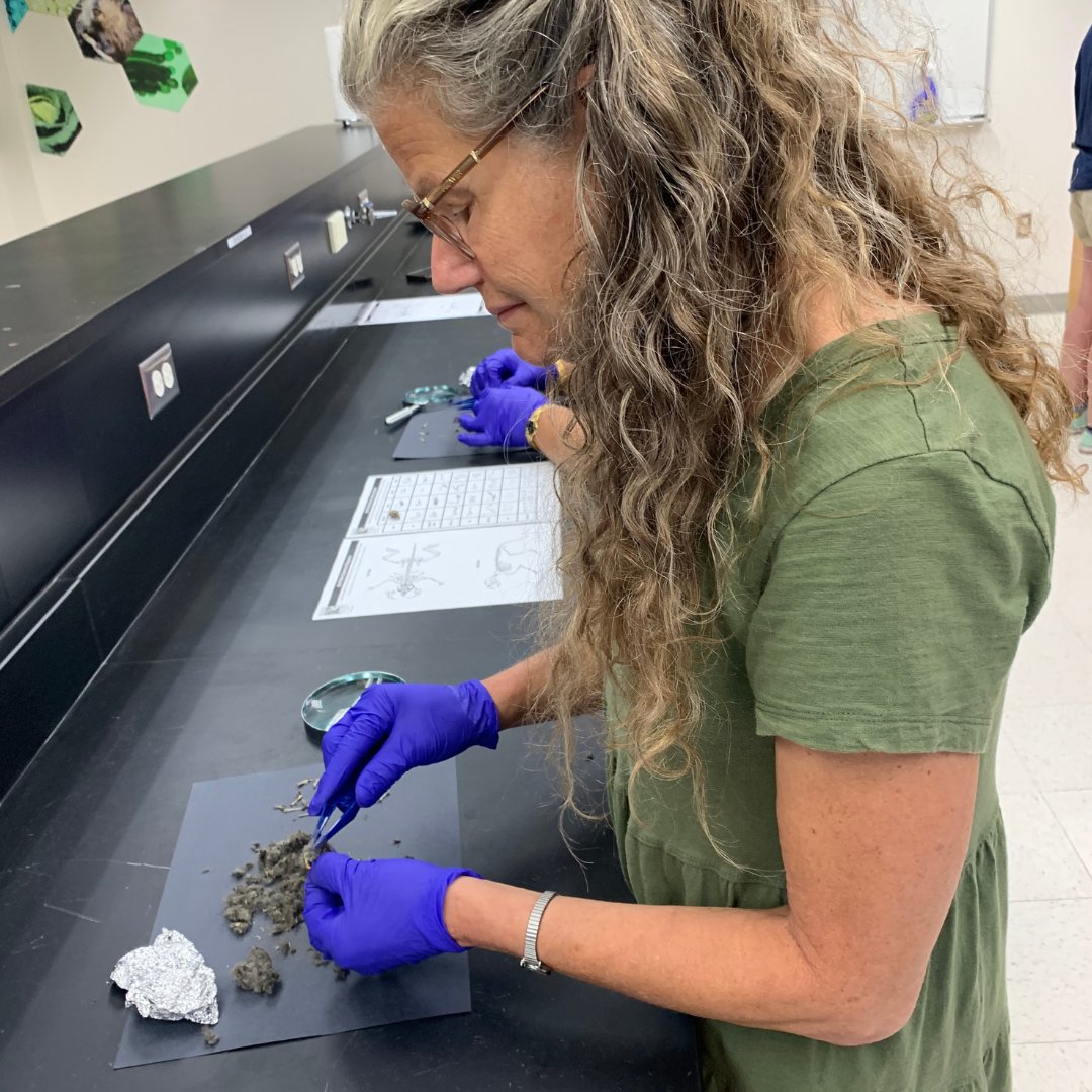 HealthyHarbor's tweet photo. Science is for everyone! 🔬Teachers from @BaltCitySchoolsare working hard in the @TowsonU lab, learning about the #ChesapeakeBay ecosystem. 🦪 Learn more about our #HarborScholars program: https://t.co/GMTHWhLeDK https://t.co/Rs9amAlKqf