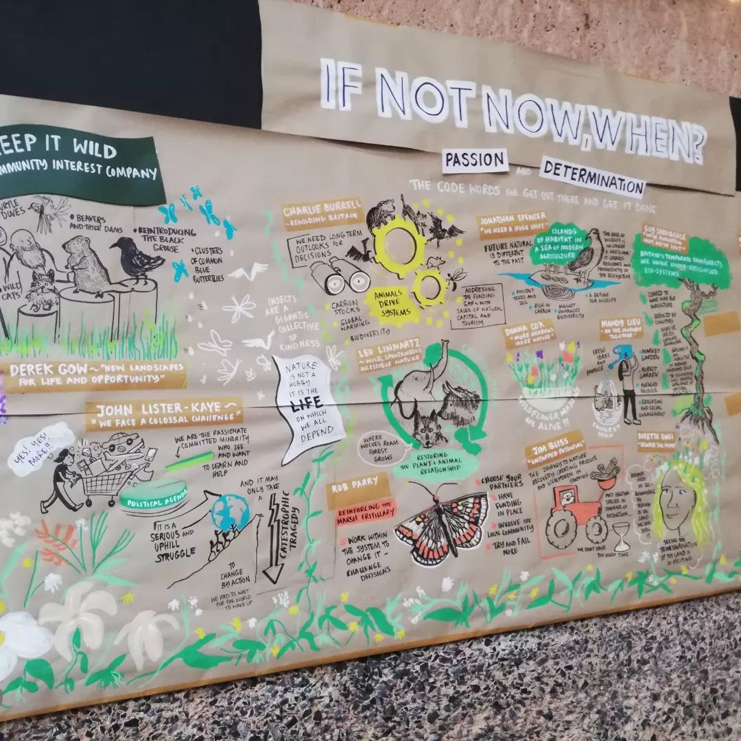 Keepit_Wild's tweet image. Uplifting, Inspiring, Shocking - these are words that have been used to describe our incredible #Rewilding festival over the last weekend. Talks, Ideas, Books, Music, Art, &amp;amp; cake - it was so wonderful to hear from some determined individuals &amp;amp; their vital work restoring nature.