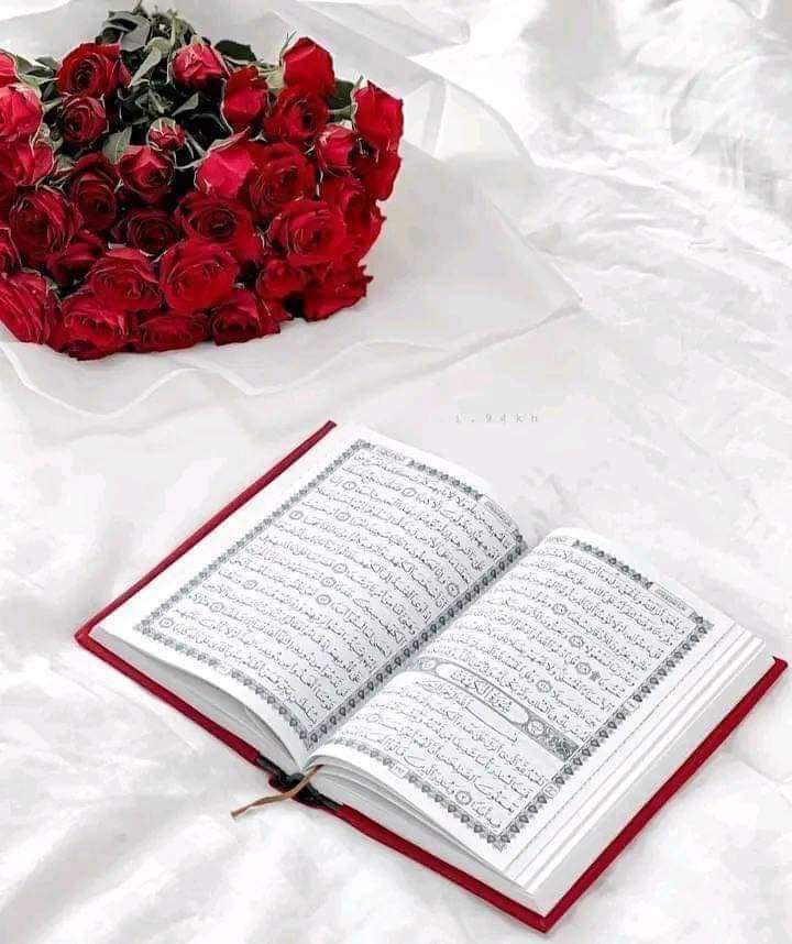 bariqalamil7's tweet photo. اللهم ارزقنا حلاوة القرآن ونور القرآن وطمأنينة القرآن وسلامة القرآن اللهم اجعل القرآن العظيم ربيع قلوبناونور صدورناوجلاء أحزانناوذهاب همومنااللهم ذكرنا منه ما نسيناوعلمنا منه ما جهلناوارزقنا تلاوته آناء الليل وأطراف النهار لعلك ترضي🌸💫

#اسطول_زعماء_تويتر 
#رفاق_النمر_للاضافات https://t.co/0d5VayRiqf