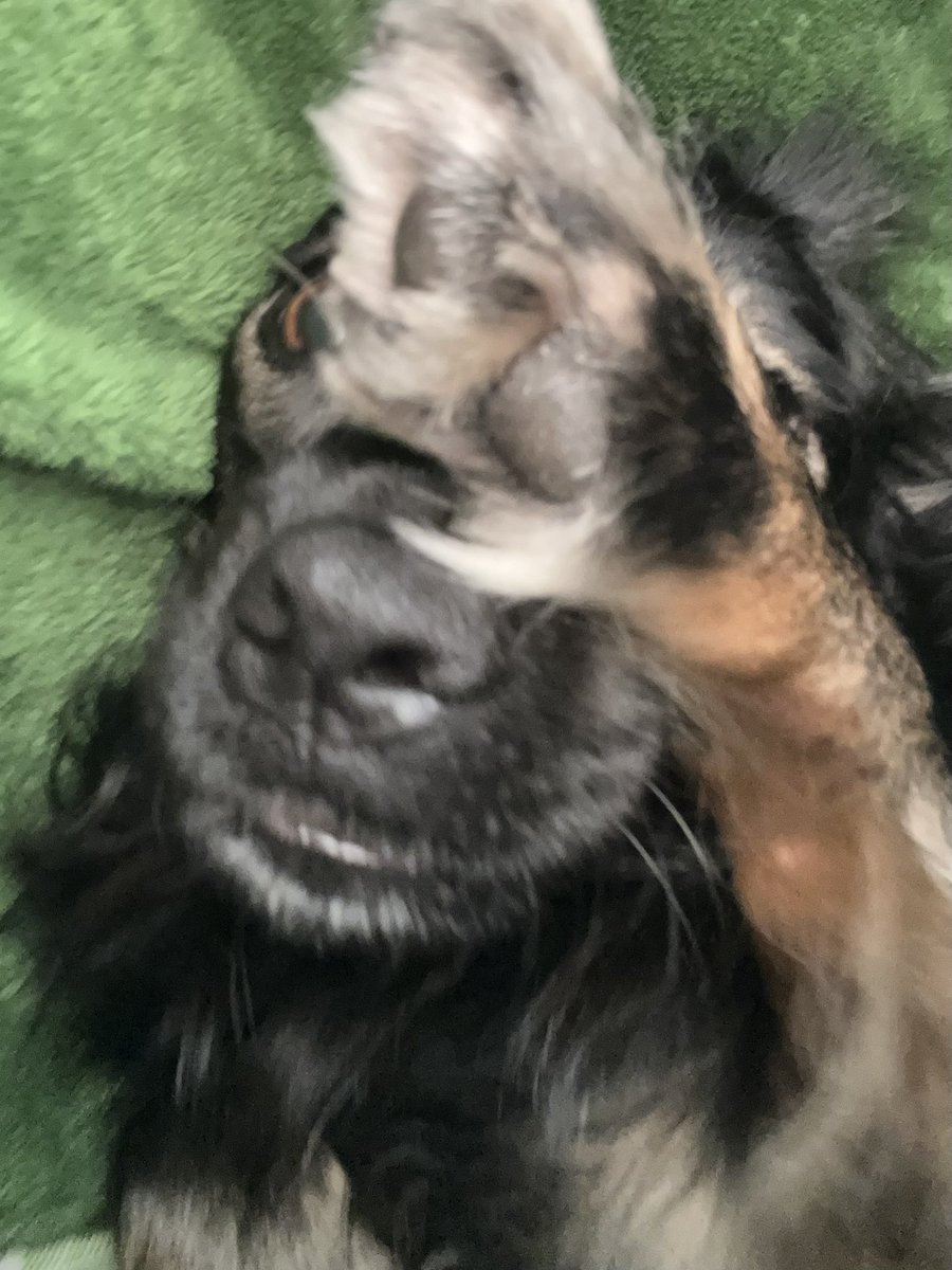 BotFodder's tweet photo. “No pictures, please!” #Obee https://t.co/Lo2yC01EmJ