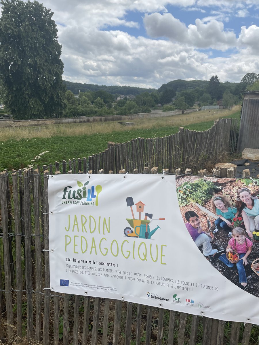 Fusilli_project's tweet image. 🧒 Discover #Differdange&apos;s Pedagogical garden! 🌱

🌻Here, a special garden awaits kids aged 6 to 13. So far, over 100 children have explored the green wonderland, learning about healthy eating and gardening.

Take a peek at the children&apos;s adventure 🙌 : tinyurl.com/ye2xy3kf