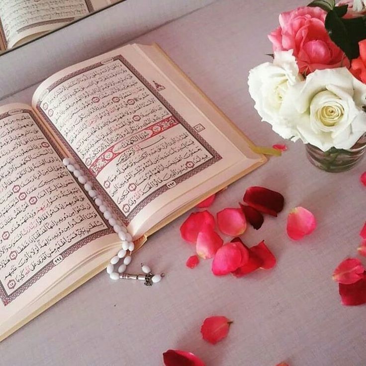 bariqalamil7's tweet photo. إنَّ هذا القرآن دليل الحياة ودربنا لله وما من شيءٍأحقّ بأن تُصَبَّ فيه جُلُّ اهتماماتناغاياتنا وأوقاتنـا سوىالقرآن والتَّنعم بصحبته عمرًا مديدًاطويلًاإنّنا بالقرآن نعيش في جنَّةٍ عاجلـة
ونعبر الطّريق إلى الله من أوسع الأبواب الموصلة إليه
#اسطول_زعماء_تويتر 
#رفاق_النمر_للاضافات https://t.co/4j0Us0fIa5