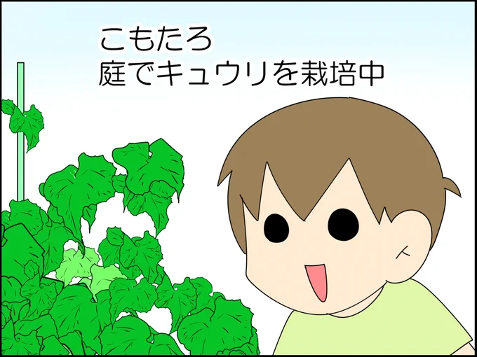 これは猫虐待になってしまう 1/4#漫画が読めるハッシュタグ #漫画がよめるハッシュタグ #漫画 #コミックエッセイ #育児漫画 #育児絵日記 #子育て #猫がいる暮らし #猫好きさんと繋がりたい 