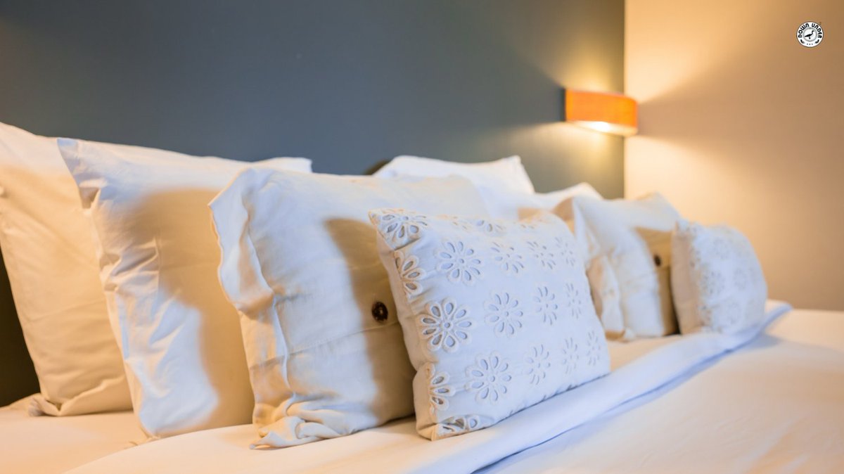 BeddingUnder's tweet image. They offer a range of benefits that make them a great choice for sleepers who want comfort and support.

#downunderbedding #beddingsale #pillowfight #pillowthoughts #pillowcovers #pillowaddict