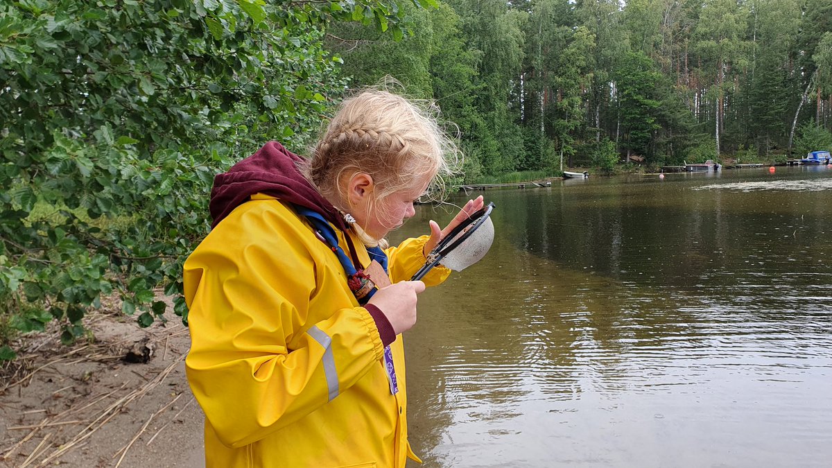 aarniolinna's tweet image. Partioleirillä yhdistät työn ja huvin - #ympäristökasvatus mukana ohjelmassa. Lauantaina @LehtiniemiMaiju vieraili leirissä ja neuvoi, miten pienroskia seulotaan hiekasta. #partioscout  #SPARKA @SYKEinfo @TampereUni_EDU @TampereUni @Partiolaiset