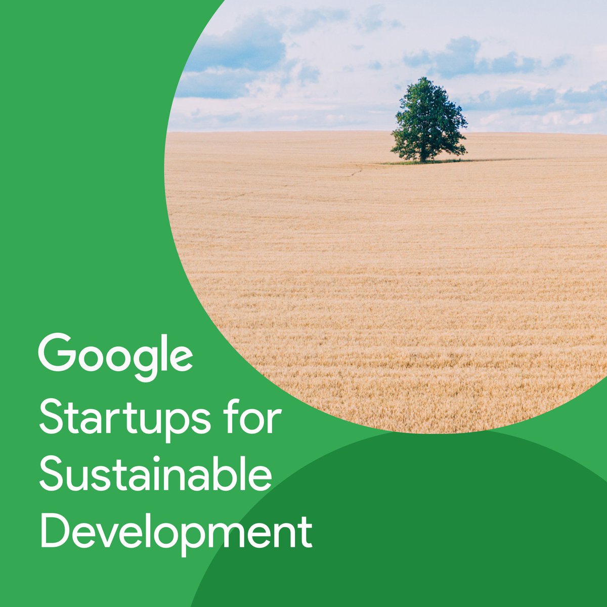 onesoilplatform's tweet image. Big news! OneSoil has joined the ranks of the @Google  #StartupsForSustainableDevelopment program!

This means more opportunities for us to drive sustainable farming forward and make a direct impact on #SDG 2 — Zero Hunger and #SDG 12 — Responsible Consumption and Production🌱