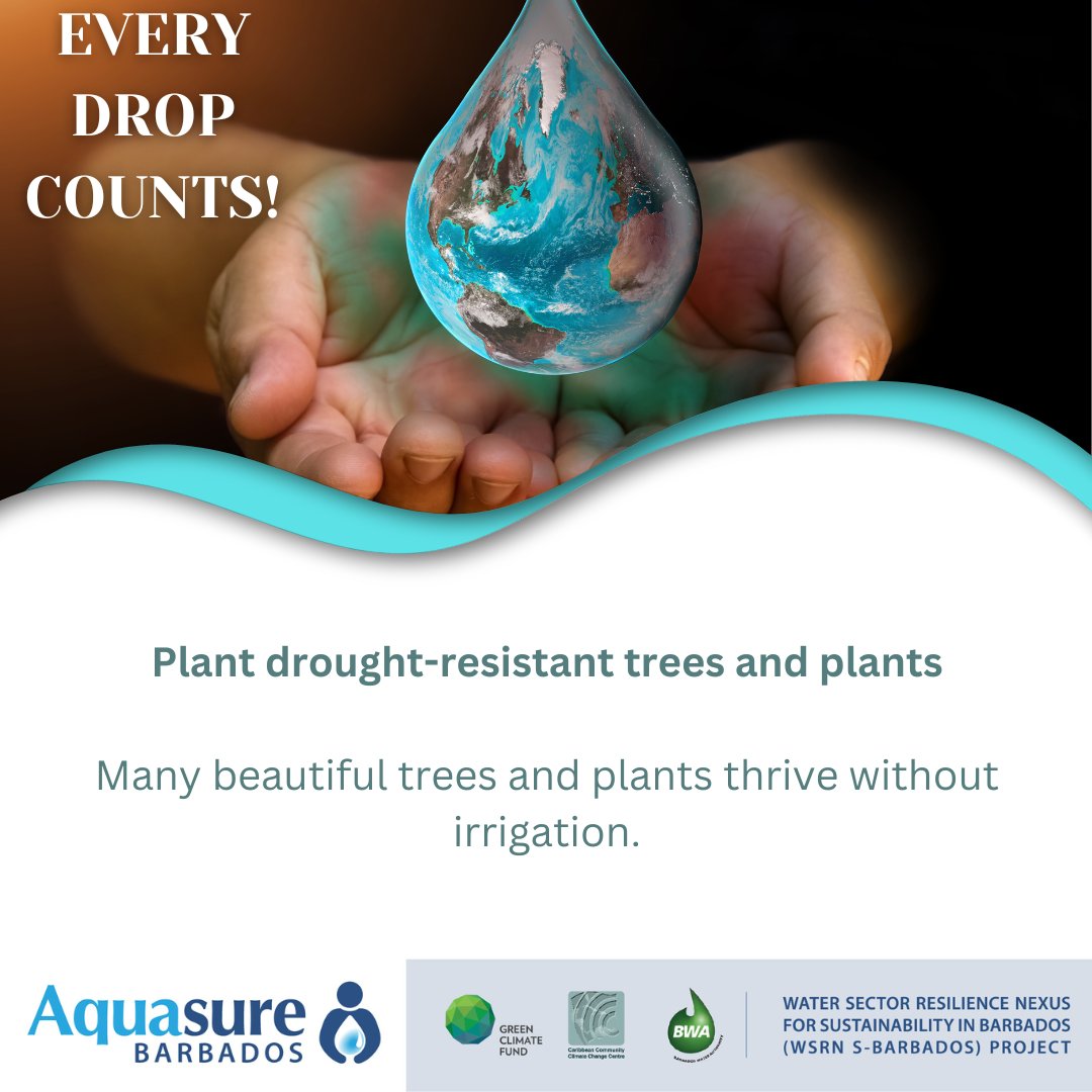 aquasurebb's tweet photo. https://t.co/pMir1PikC2