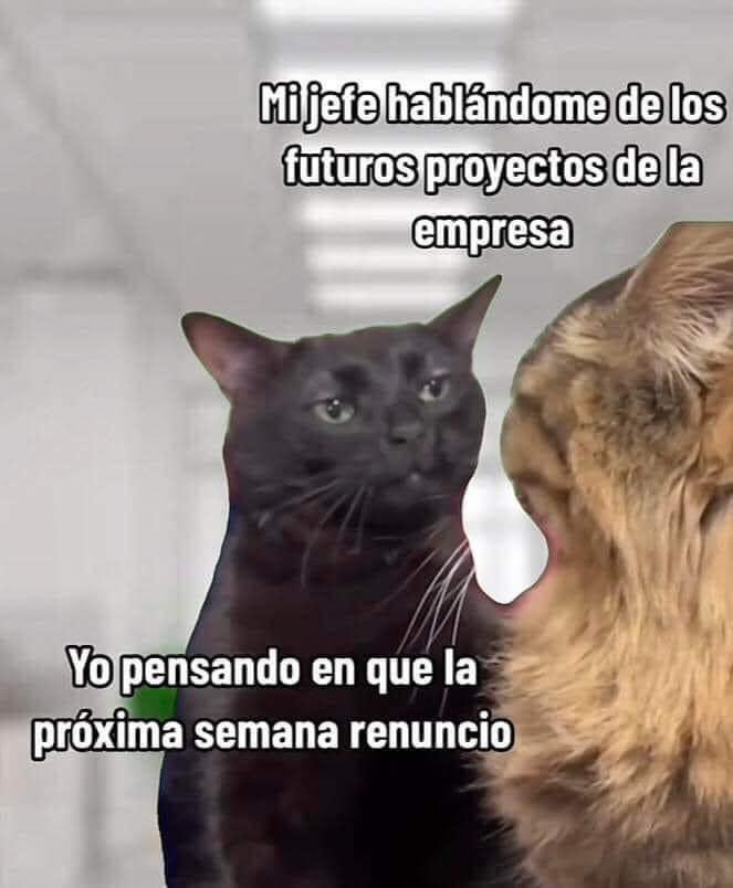 Coquico1973's tweet photo. @pelayo_miguel https://t.co/5d7whmrI6f