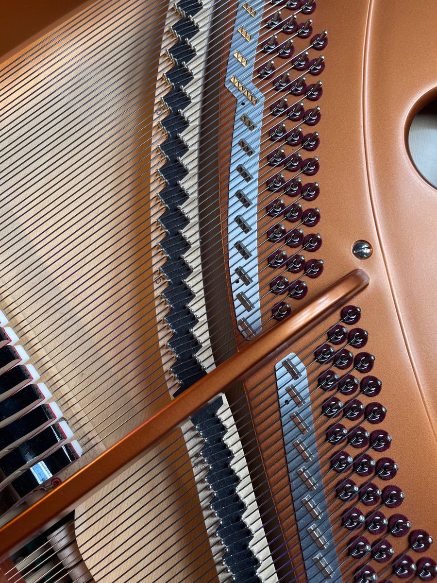 Yamaha Location🎹 

Exclusive look at the Yamaha upstairs venue complete with lovely architecture and a stunning view of SoHo making the perfect party venue.
Stay tuned for possible future events with Disrupt Events here 👀

#disruptevents #events #yamaha #venue #soho #london