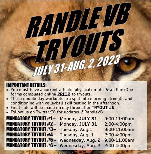 CoachElBjeirmi's tweet photo. *rafiki voice* IT IS TIME🏐🦁

#NOPRESSURE #NODIAMONDS https://t.co/Dq8zfAEf28