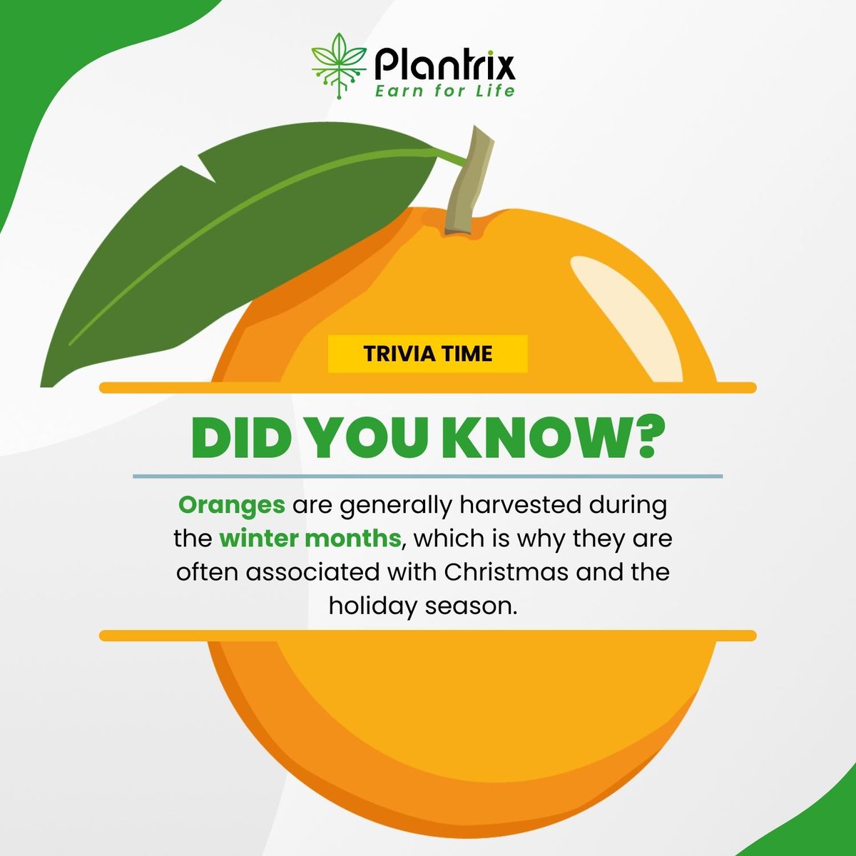 Plantrix_io's tweet photo. One juicy orange provides around 116% of your daily Vitamin C requirement, boosting your immune system and promoting overall health! 🌱💪

Nature's sweet gift, oranges come in various varieties, each with its unique flavor profile. 🍊🌈

Share your favorite way to enjoy oranges in the comments below! 👇🍊

✅ Join our Telegram Community: https://t.co/TPkF5AqIs9
✅ Follow Plantrix social media channels here: https://t.co/iTqY4wowNy

#plantrix #agriculture #nft #wealth #investment