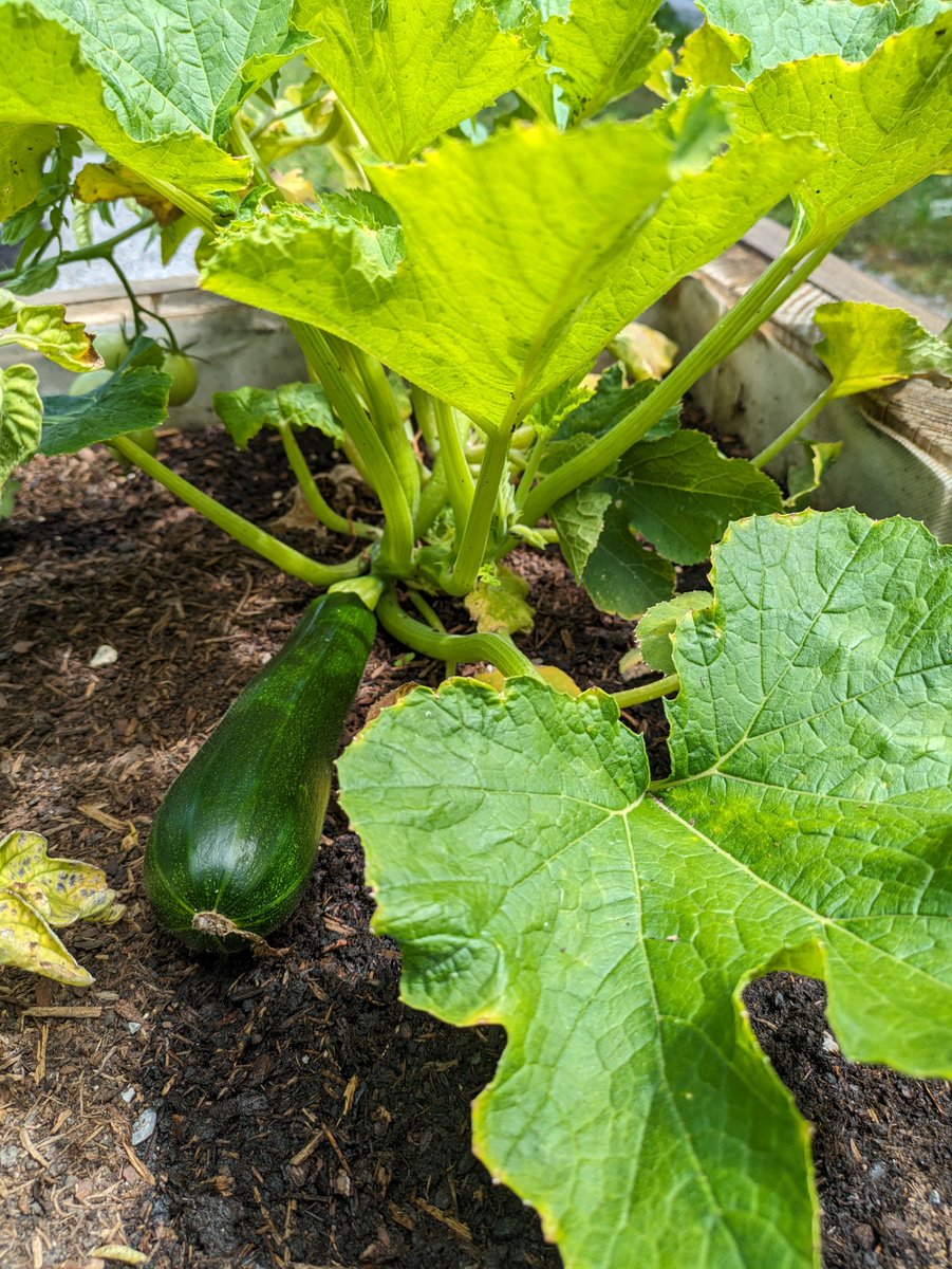 Harvest time begins at <a href="/psich_en/">PSI Paul Scherrer Institut</a>. #greenbox