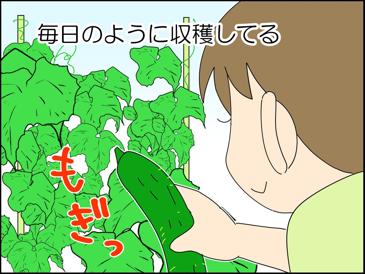 これは猫虐待になってしまう⁉ 2/4 