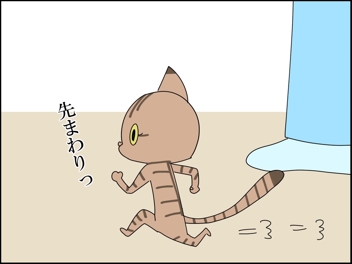 これは猫虐待になってしまう⁉ 3/4 