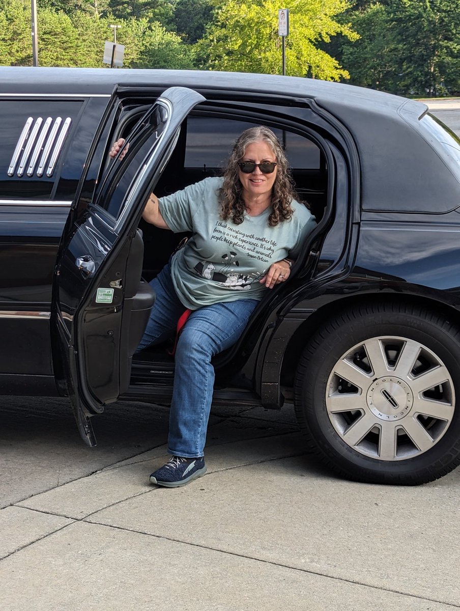 LizBanks's tweet photo. @PaulDWestMiddle Rolling in like https://t.co/zFPYYwN2mt