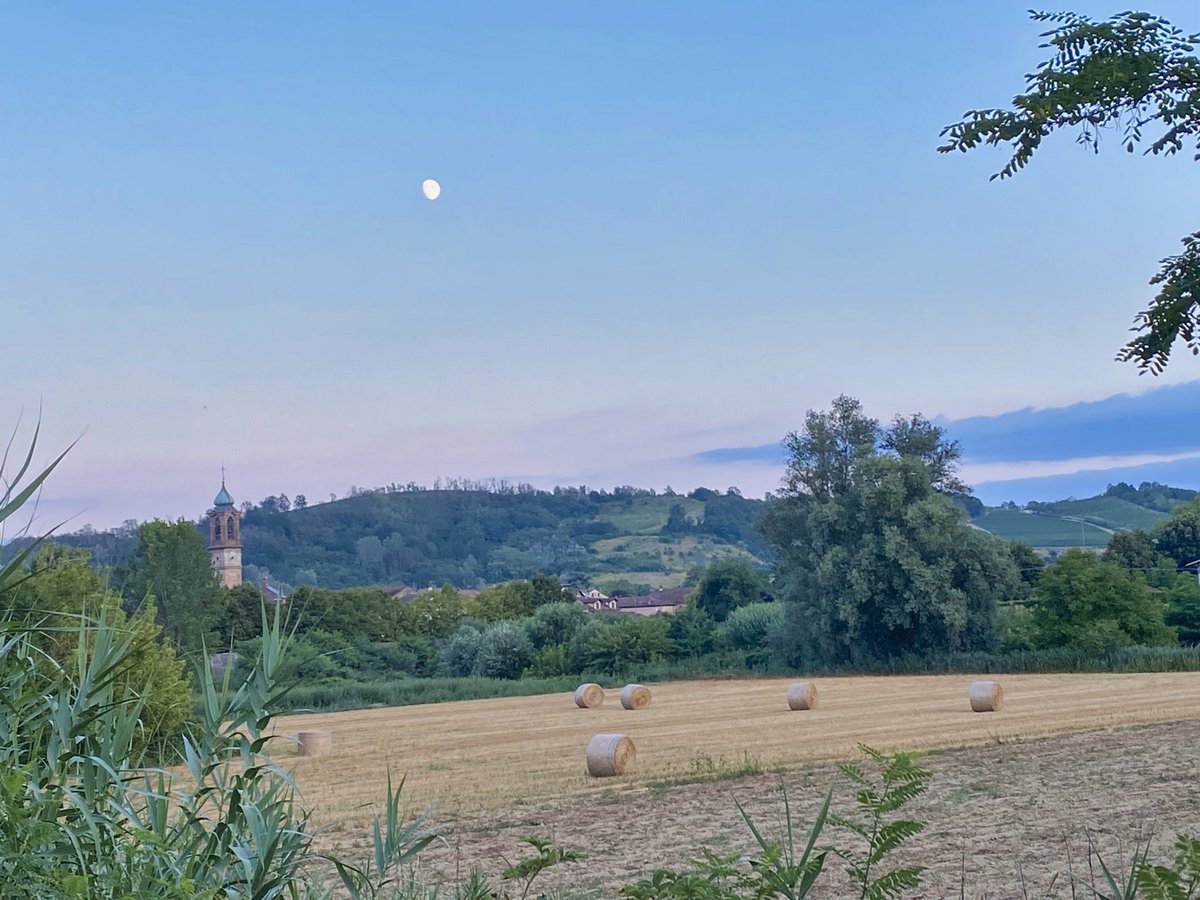 Giorgio Tassi tweet media