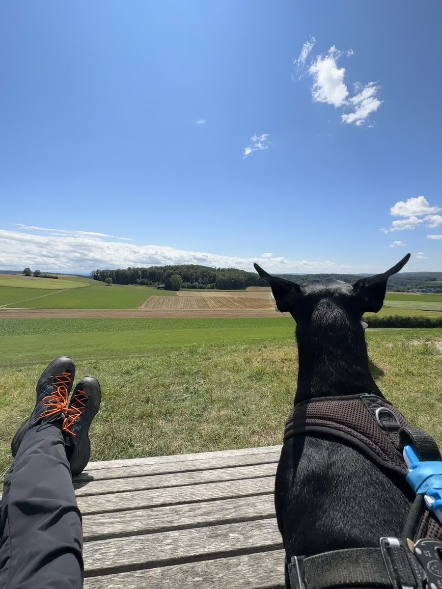 Andreas Ringli tweet media