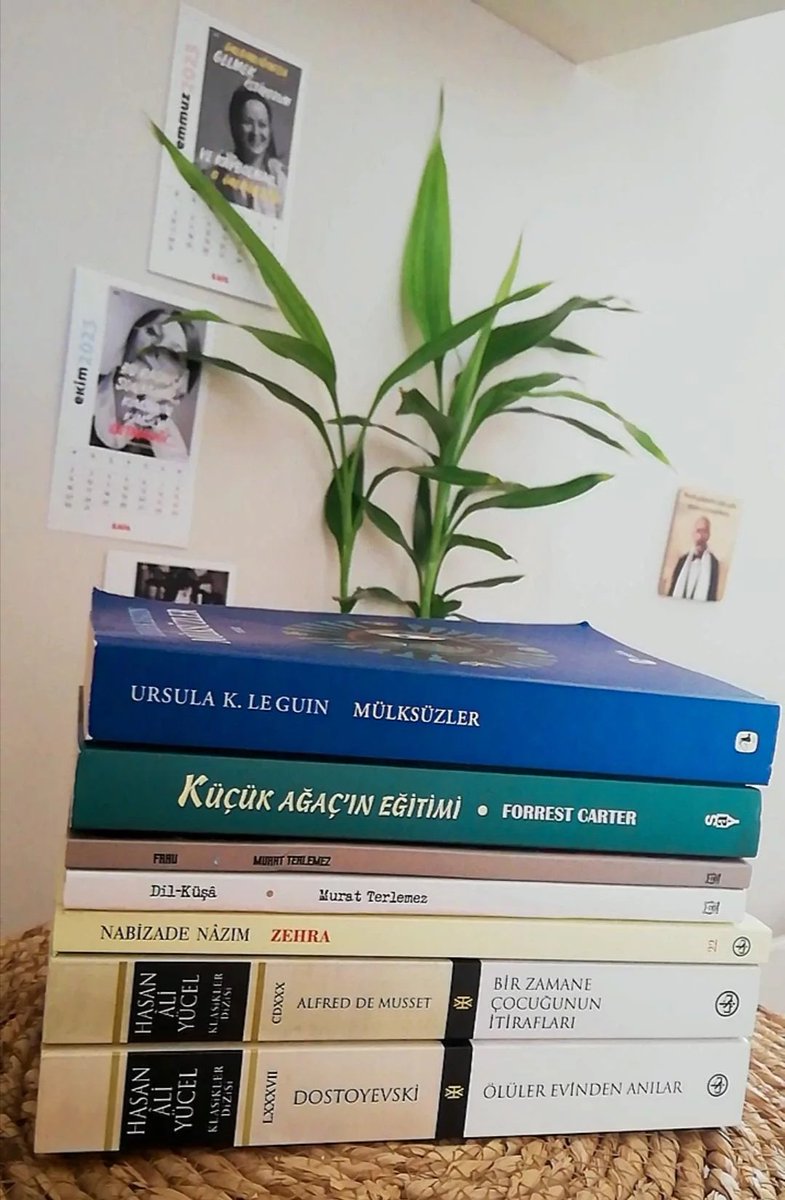 Şöyle bir bakıyorum #Temmuz kitaplarımı #neokudum #okudumbitti #okumalistem #okurseverlertakipleşiyor #maviayraç #okuma #okumaközgürlüktür #okumaknefesalmaktır #kitap #kitaptavsiyesi 🥰📖