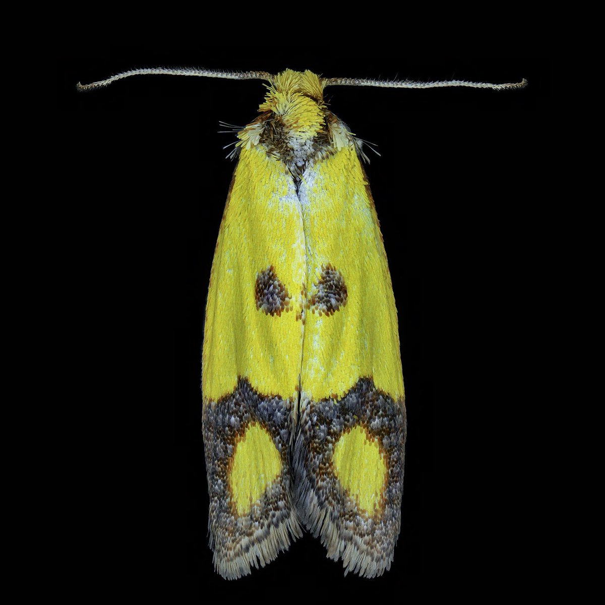 Thorben Danke tweet media