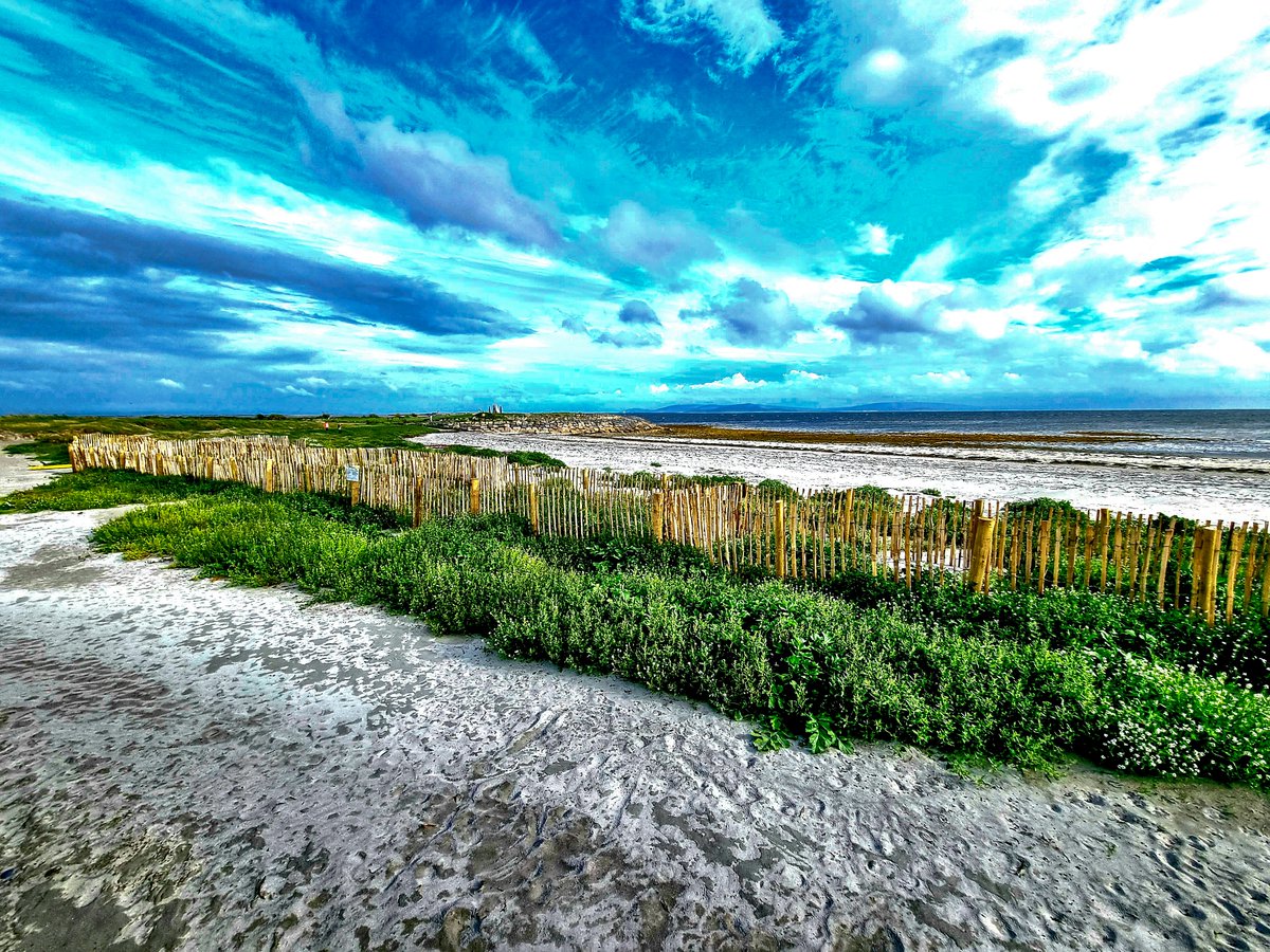 GalwayAquarium's tweet photo. Sand Dunes #OneMonthLater Photo & Observations Study: https://t.co/eAFdxOJuUf
#HowAreYouDune
This is a great personal project, observing and recording the subtle changes in the Dunes. Great job @GalwayCityCo the Fences are working! https://t.co/IU9Q0qWbGm