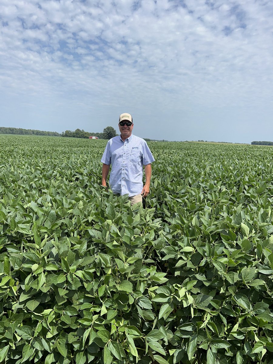 jhchandl's tweet photo. Indiana soybean fields I saw up close last week. Always appreciate getting to the midwest during the season to learn lessons I can use to better help NC producers #closetheyieldgap https://t.co/wIn0oRptop