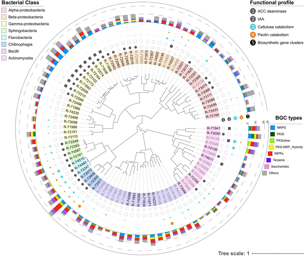 Microbiology Spectrum (JournalSpectrum) Twitter Tweets • TwiCopy