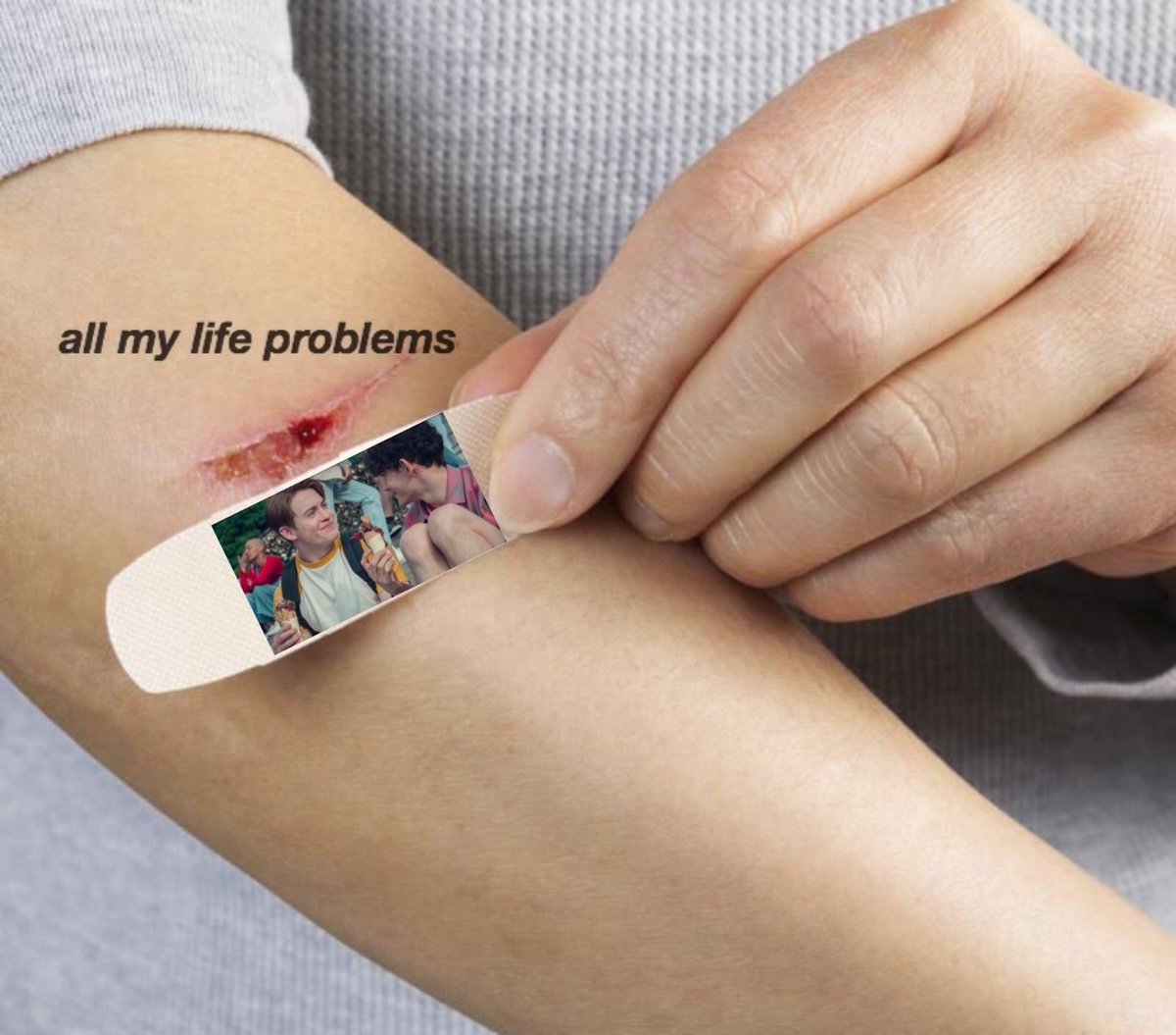 istankitconnor's tweet photo. heartstopper s2 will fix all my problems https://t.co/pwBVXBtb6w