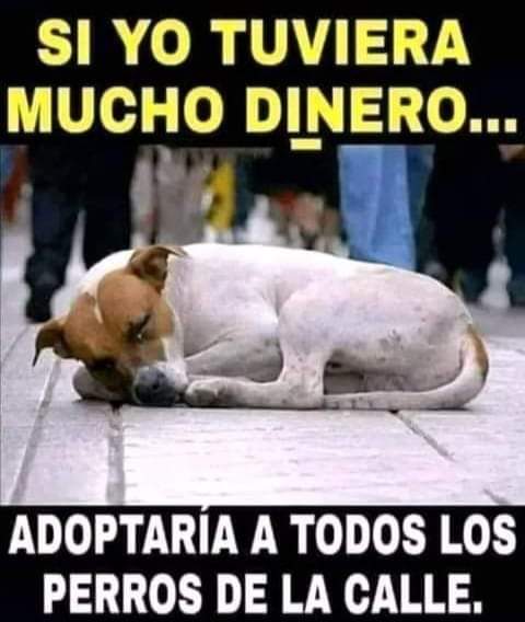 VIBRAmascotas's tweet photo. :( buenos días https://t.co/XD5oyuQy9f