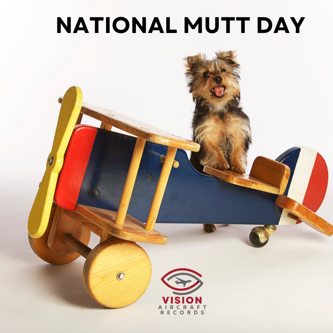 Happy National Mutt Day! 🐾 Embrace the unique and lovable mutts in your life. #NationalMuttDay #RescueLove #ForeverHome #NationalMuttDay #MuttResilience #MuttDay