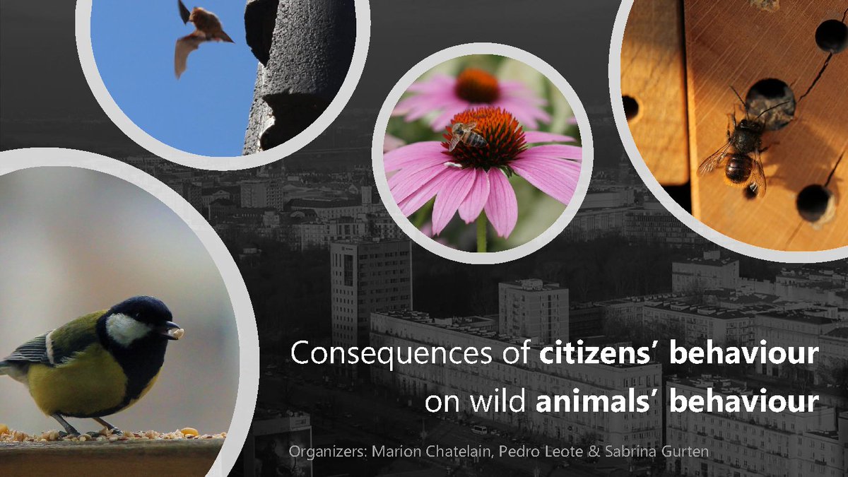 Marion Chatelain tweet media