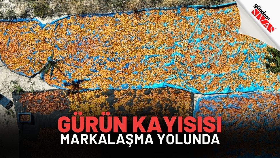 gundemsivascom's tweet photo. 🍑 Gürün Kayısısı Markalaşma Yolunda 📈
#gündemsivas #sivashaberleri #sivashaberler #gundem #sivas #gurun #kaysi #ciftci #tarim #marka #artis
@sivasvaliligi @valisimsek @sivastarimorman @GurnBelediyesi @NamiCiftci
https://t.co/3GTrQWm7r3