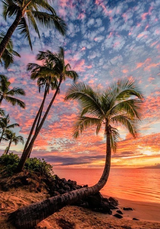 aestheticspost_'s tweet photo. where I’d rather be https://t.co/NcUvVsteFL
