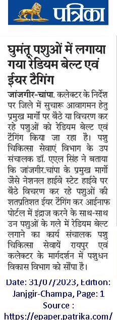 IASTripathiCG's tweet photo. #StrayCattles #JointActivity #Relocation #Vaccination #ReflectiveBelts #ULB @ChhattisgarhCMO @RChoubeyCG @amitabhjn @KPSingh_IAS https://t.co/ZR2VDfme6U