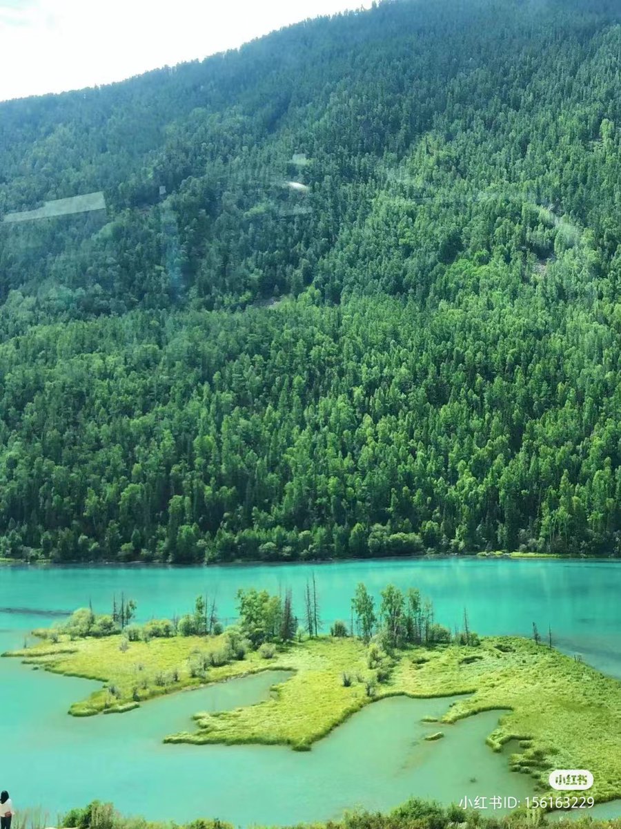 chnglngxio7326's tweet image. Escape the city and explore the unspoiled natural beauty of #Xinjiang's #Kanas Lake! Surrounded by snow-capped mountains and lush forests, Kanas Lake's emerald waters are a sight to behold.