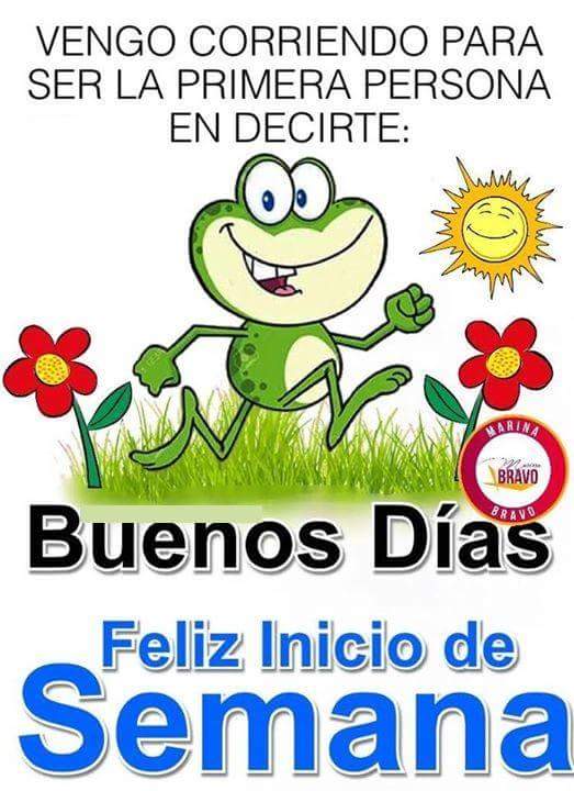 Guadalupe (@murilloguadalup) on Twitter photo 