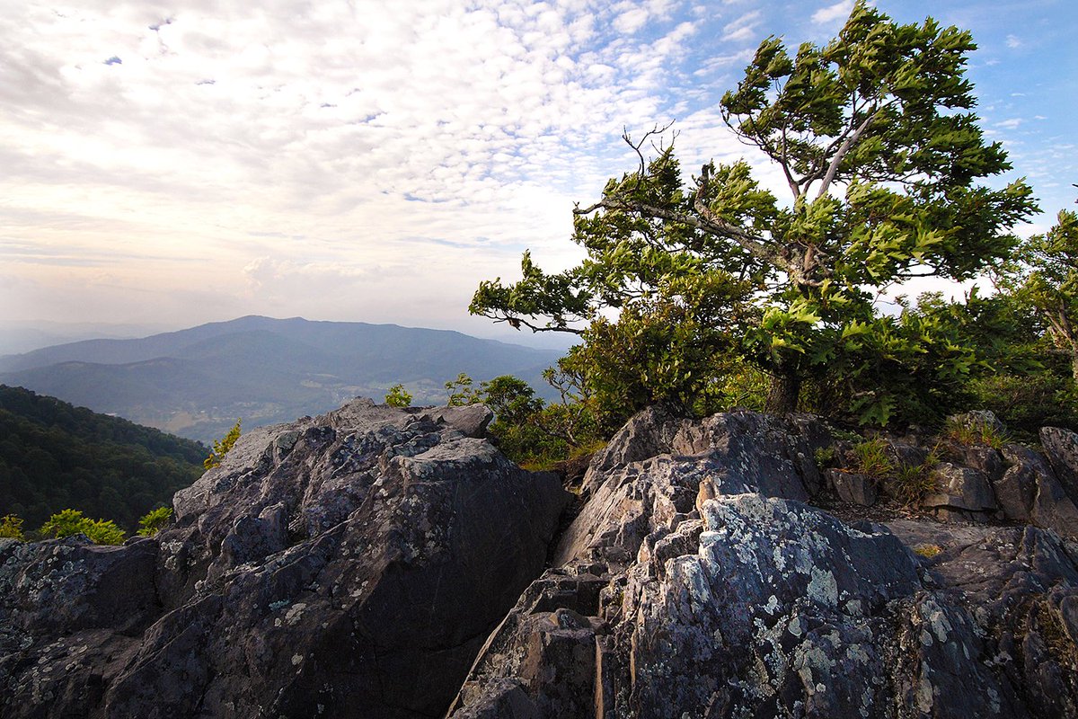 NC Division of Parks and Recreation tweet media