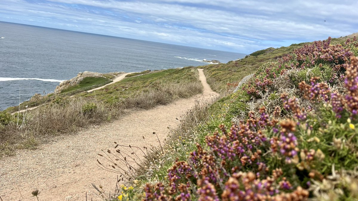 Martin Cabble-Reid | Upgrade Your Day tweet media