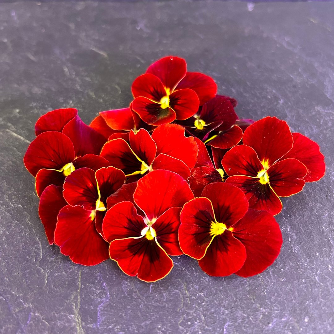 Je ne sais pas vous, mais chez #Champerché, on n'arrête pas de se perdre dans nos #pensées... 😅 

Et n'oubliez jamais, pour bien #manger, restons #perchés !

#blaguedujour #Biology #economy #Ecology #humour #fun