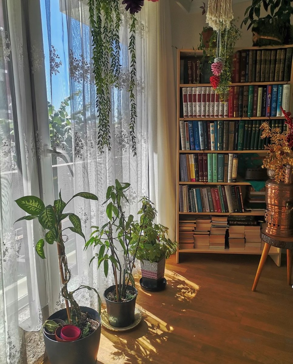 Adamın kitapları 📚
Kadının çiçekleri 🌿

                     ~•~ 🌸

🌿📚🌿📚🌿📚🌿📚🌿📚🌿📚🌿📚🌿📚