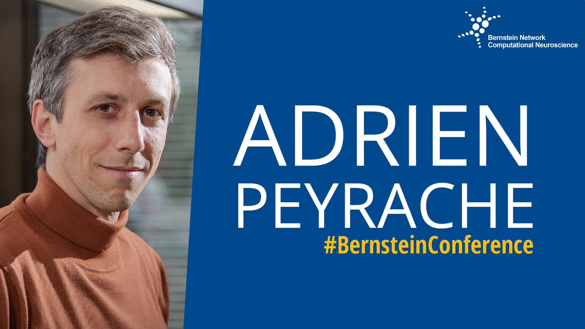 Bernstein Network Computational Neuroscience tweet media