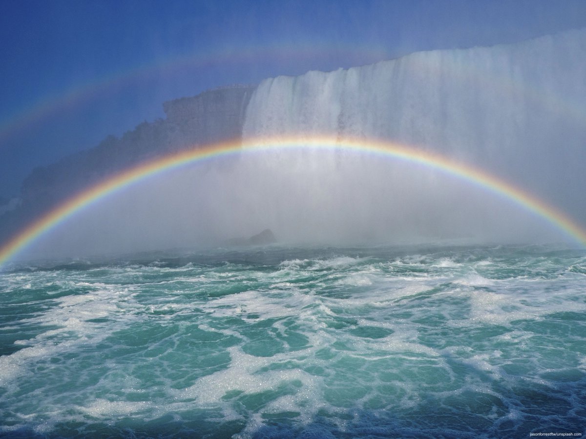 Jayne Birkby tweet media