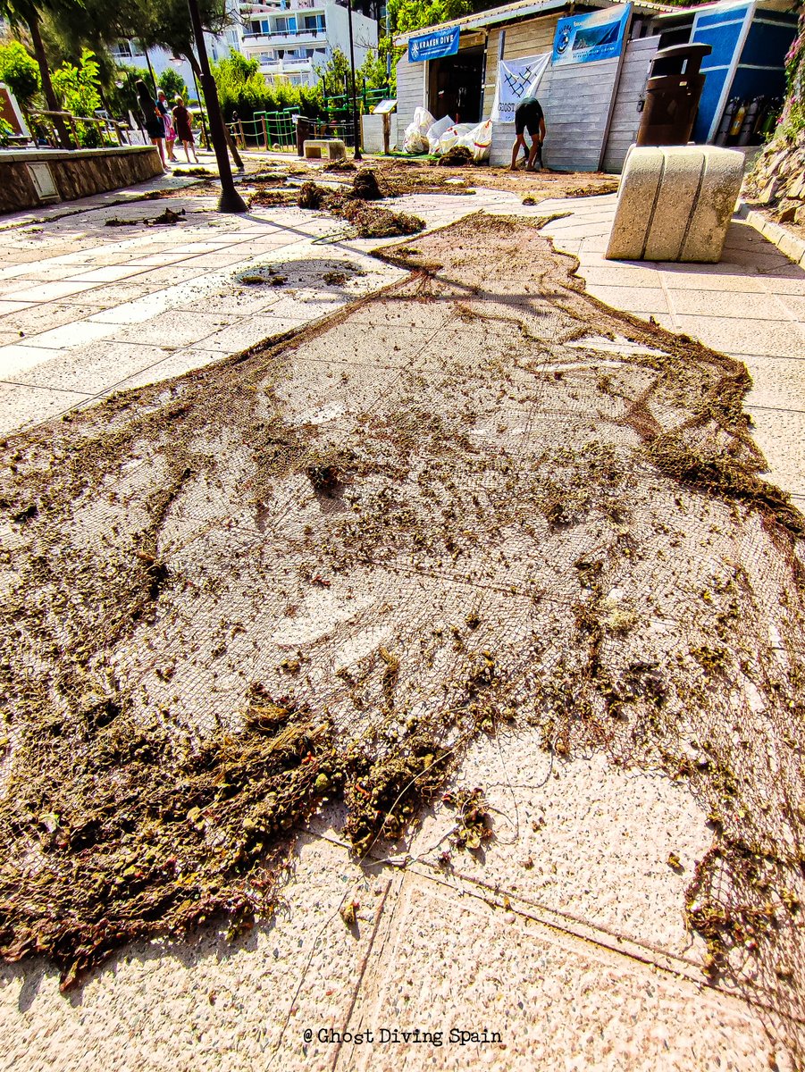 Healthy Seas tweet media