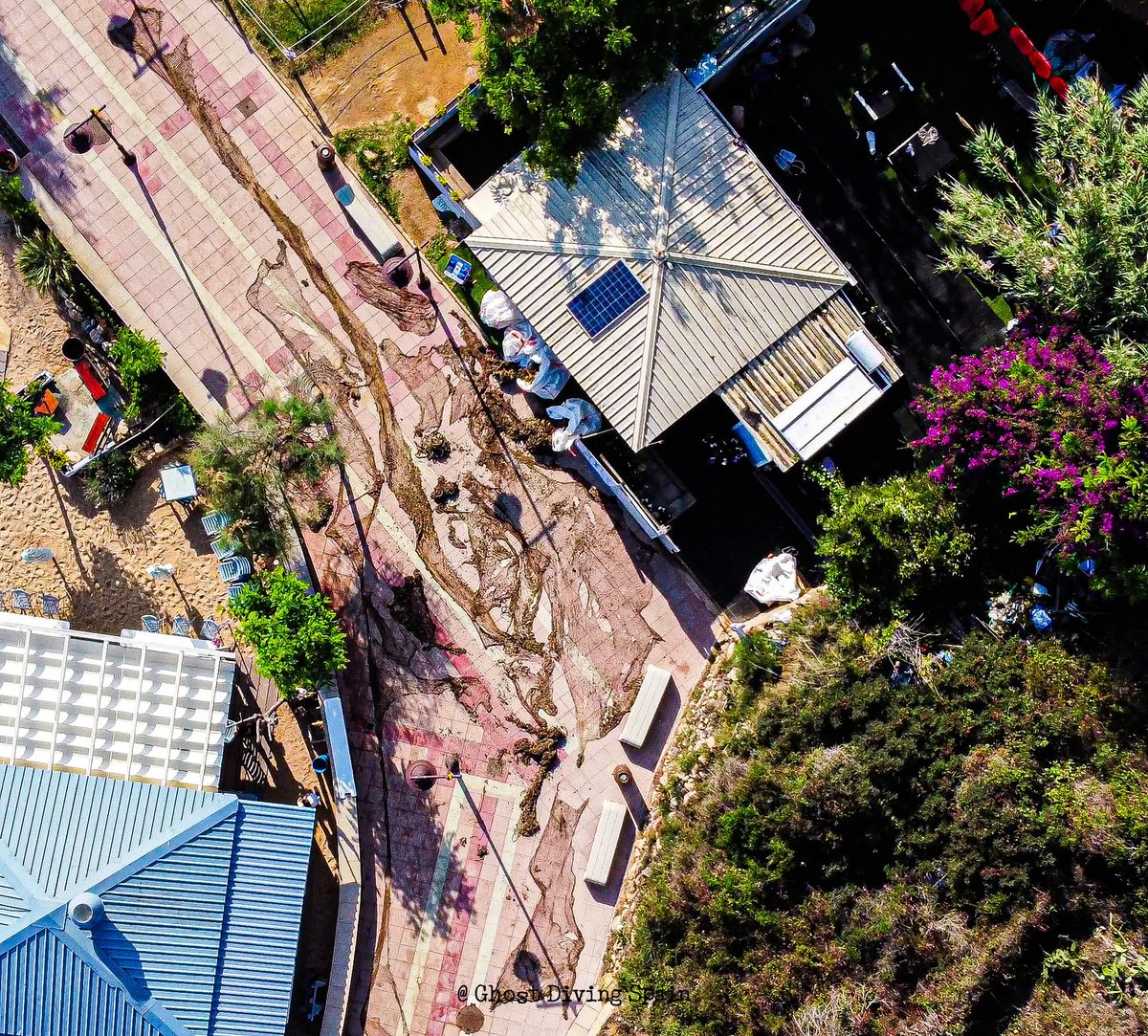 Healthy Seas tweet media