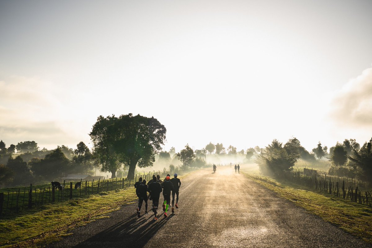 EliudKipchoge's tweet photo. Putting in the miles every day is one of my favorite parts of the process. Success should always be earned and never guaranteed. https://t.co/0cW6Oqh10H