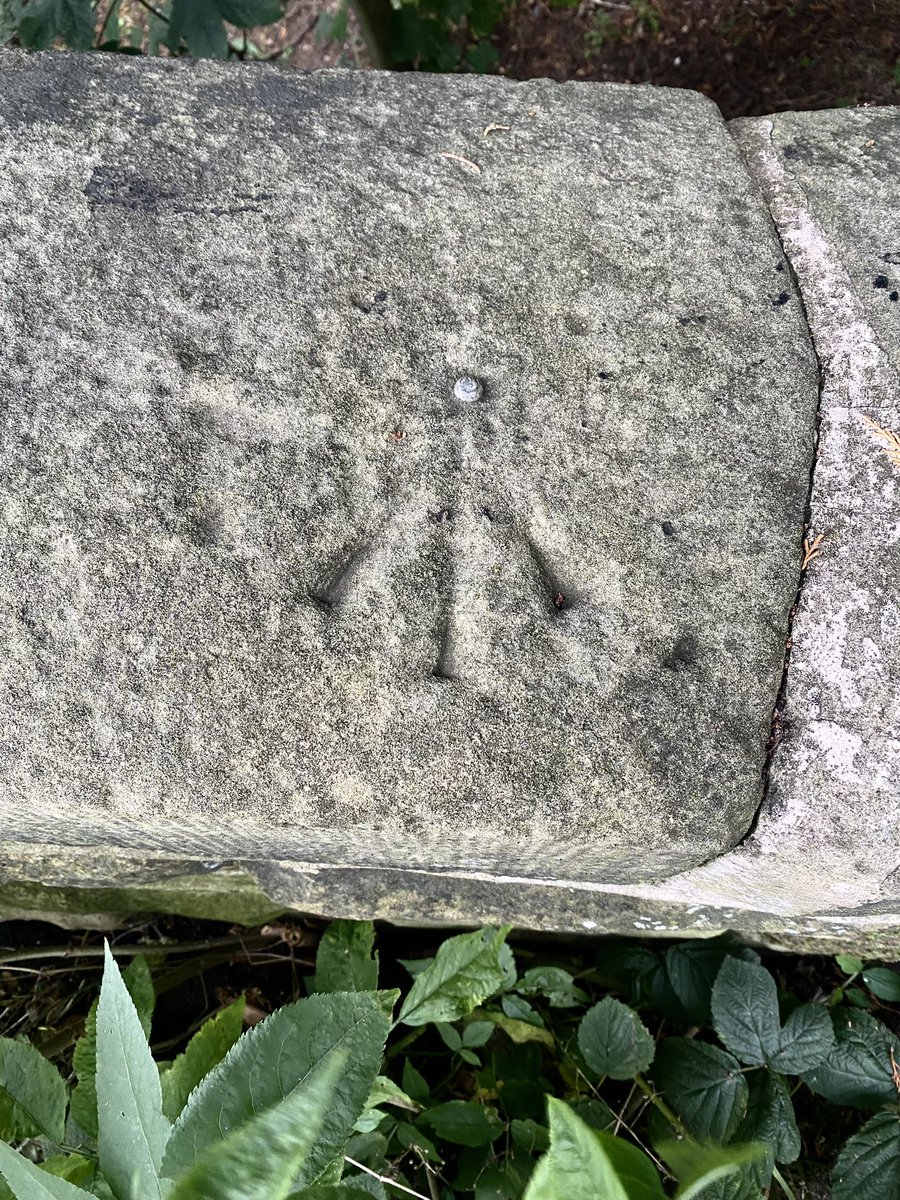 HellingtonBoots's tweet image. This rivet mark was a little weathered… and it looks like #Billy got here first! 😉😂

Gorse Pits Bridge at #Broomhill 
#CutMark #OSBenchmark 
#LegsAndLaces 🥾