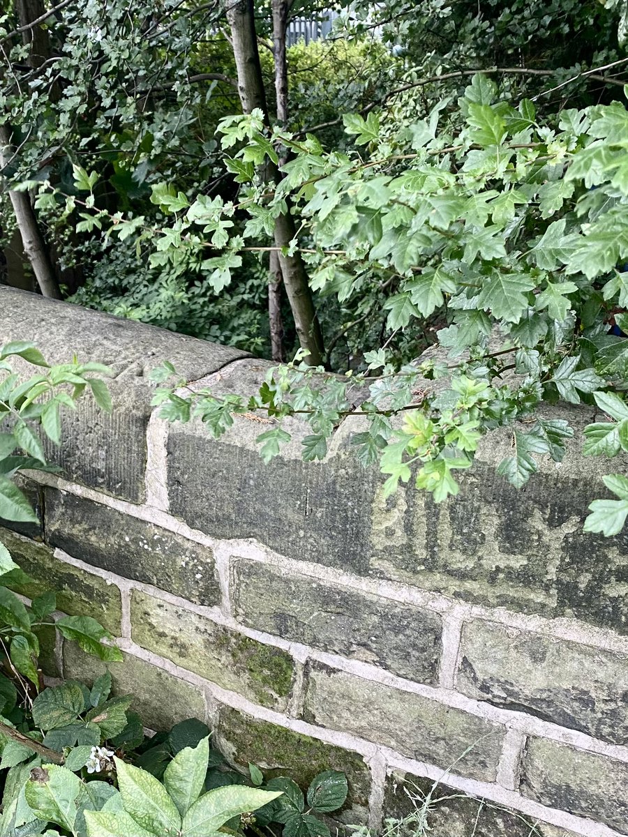 HellingtonBoots's tweet image. This rivet mark was a little weathered… and it looks like #Billy got here first! 😉😂

Gorse Pits Bridge at #Broomhill 
#CutMark #OSBenchmark 
#LegsAndLaces 🥾