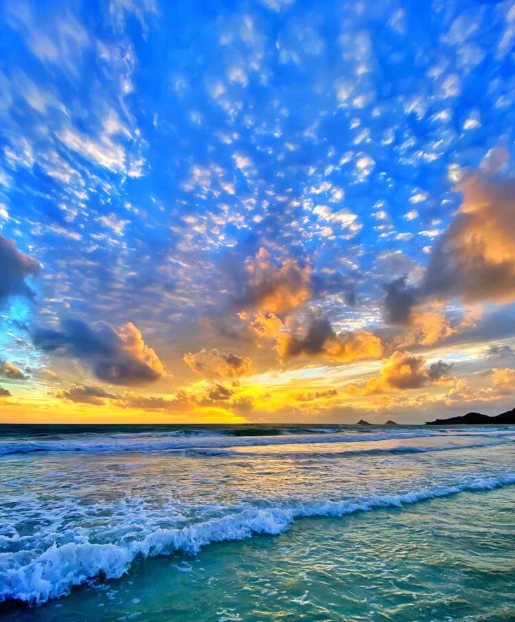 Alice355641's tweet photo. Feel the peculiarity of nature, as if you have entered a wonderful magical world. https://t.co/Dk8mA1vIhe
