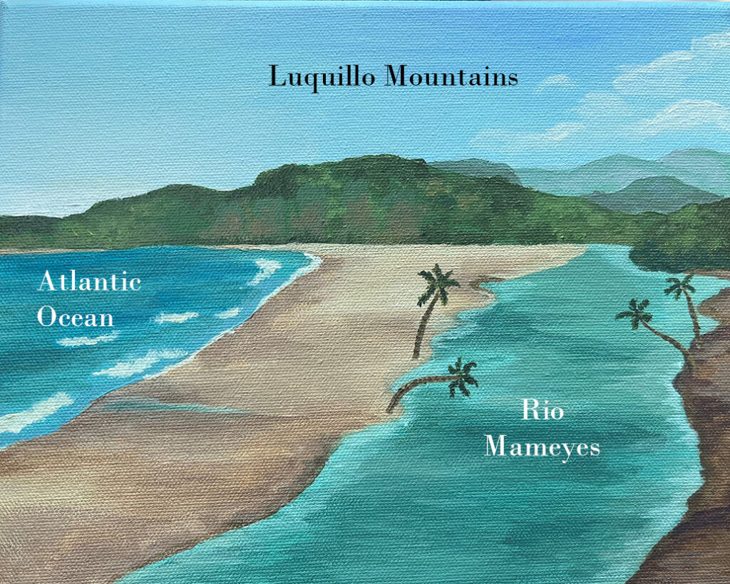 We invite you to join the 11th Biogeomon conference, the first to be held in a tropical setting. 
When: Sunday 7 January through Thursday, 11 January, 2024 
Where: University of Puerto Rico, Rio Piedras campus, San Juan, Puerto Rico 
Sponsors:  LUQ LTER and IITF