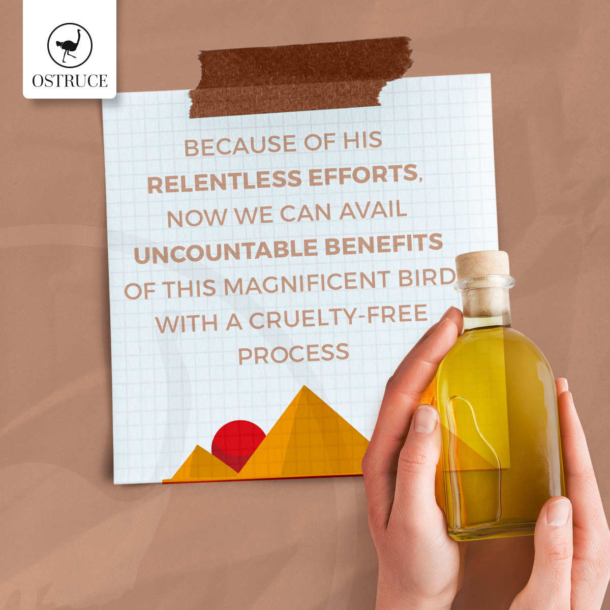 Mr. Kazi's efforts have made it possible to make the most of the benefits Allah has blessed us with.💛

Order now: ostruce.com

#Ostruce #FarqTouPartaHai #nature #DidYouKnow #ostrichfarm